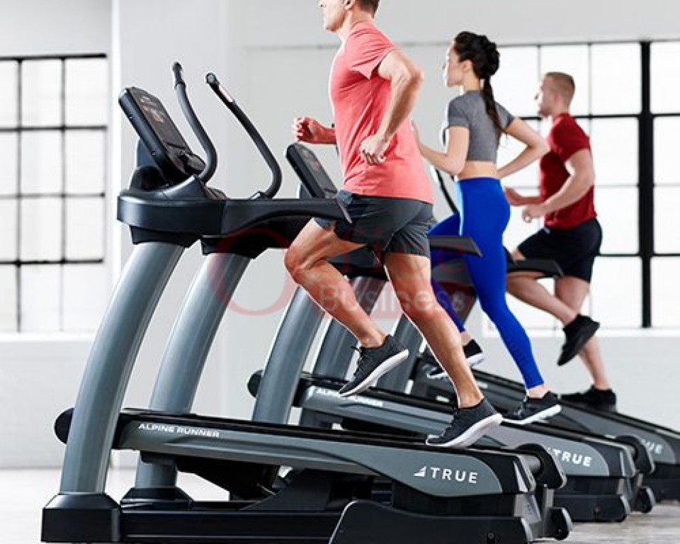TRUE ALPINE RUNNER INCLINE TRAINER เครื่องออกกำลังกายกลางแจ้ง เครื่อง ...